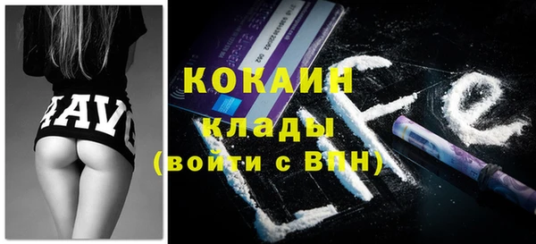 спиды Богданович